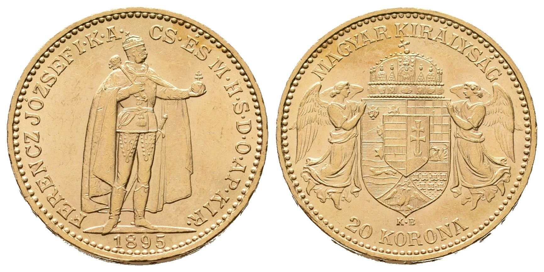 20 Koruna 1895 KB