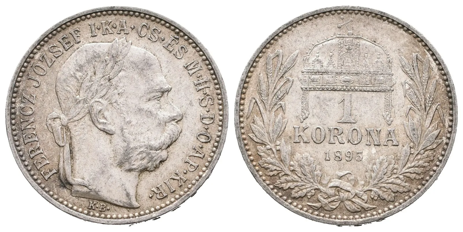 1 Koruna 1895 KB