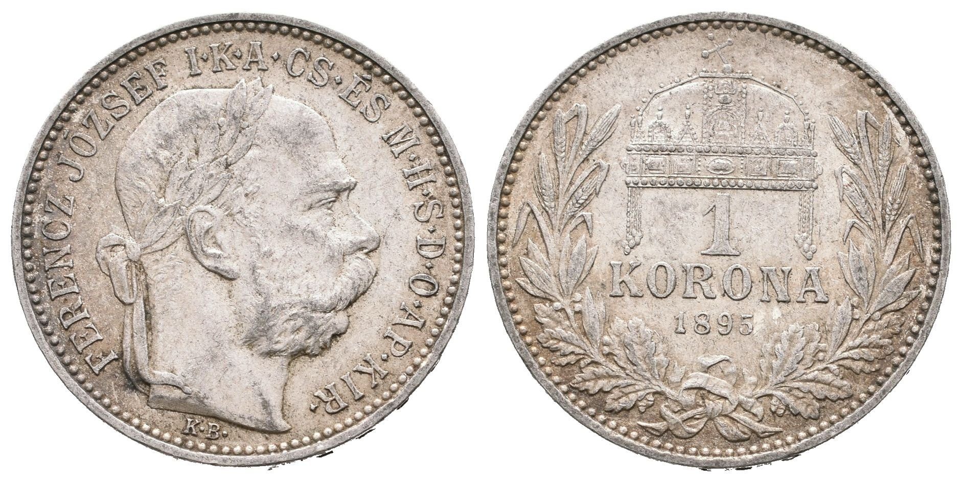 1 Koruna 1895 KB