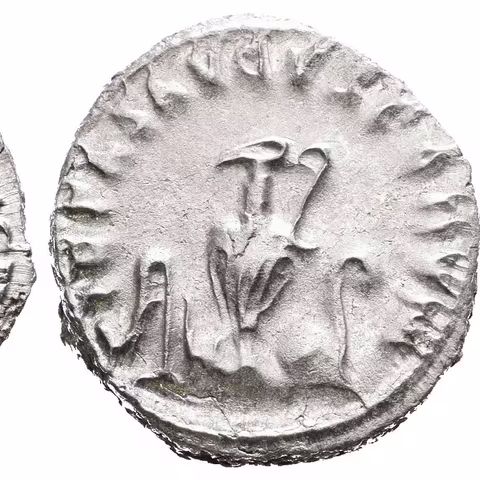Antoninian, Rv: PIETAS AVGVSTORVM, aspergillum, simpulum, konvice, štít