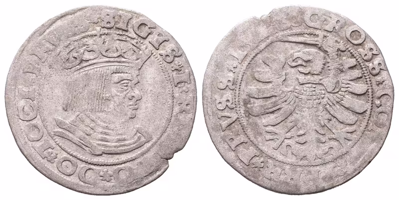 Polsko, Groš 1528