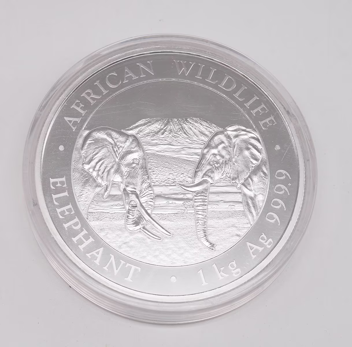 Stříbrná mince 2000 Shillings Elephant (Slon africký) 1 kg 2020 (African Wildlife Series)