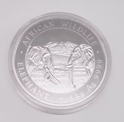 Stříbrná mince 2000 Shillings Elephant (Slon africký) 1 kg 2020 (African Wildlife Series)