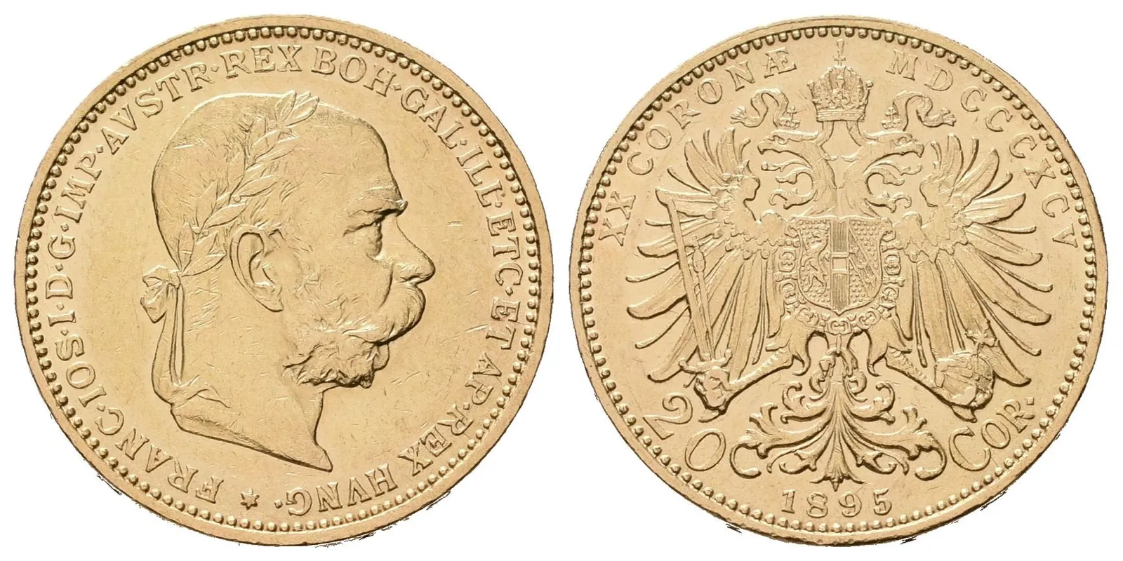 20 Koruna 1895