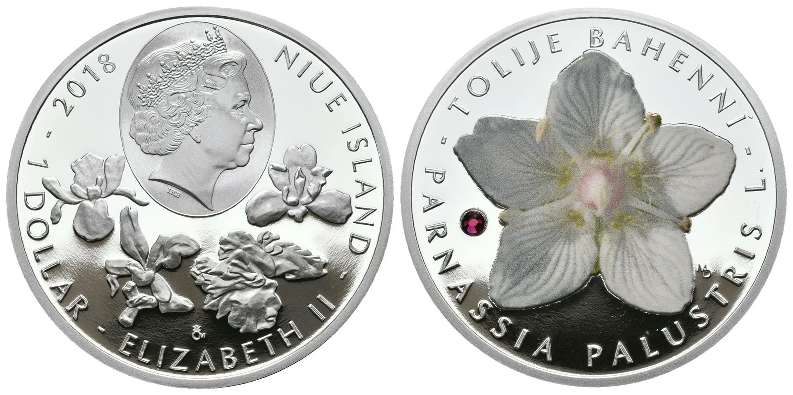 Dašek Martin - Tolije Bahenní