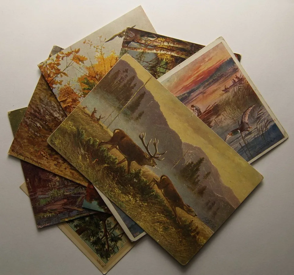 Žánr, motiv - sbírky, loty, partie — 1
