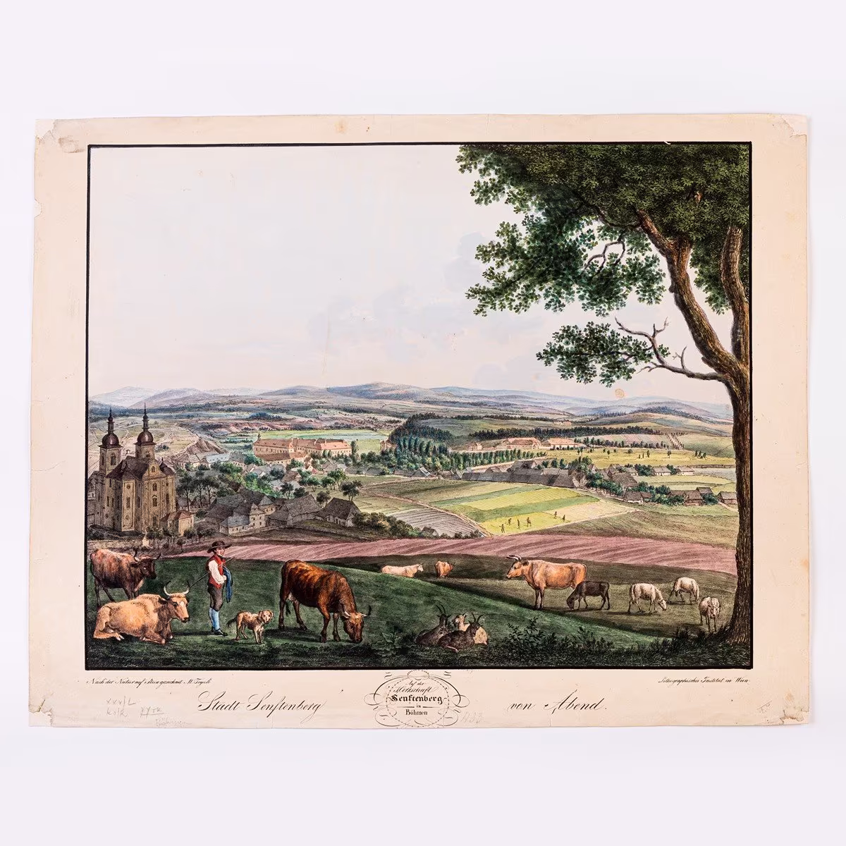 (Žamberk, město a zámek) Stadt Senftenberg von Abend