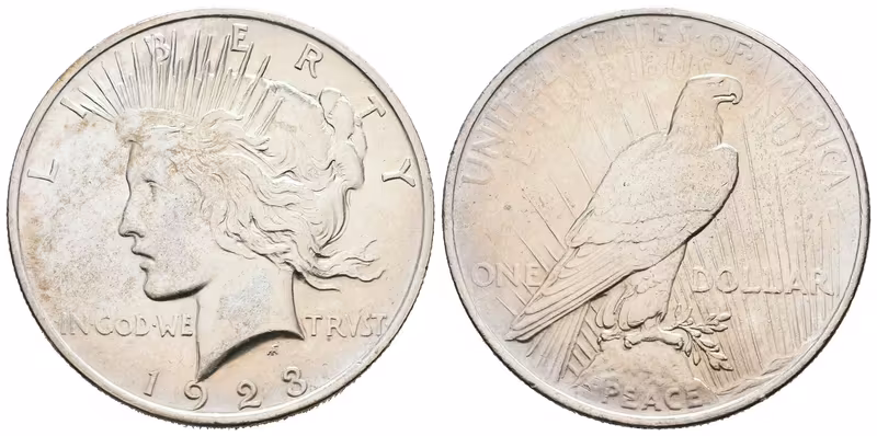USA, 1 Dollar 1923