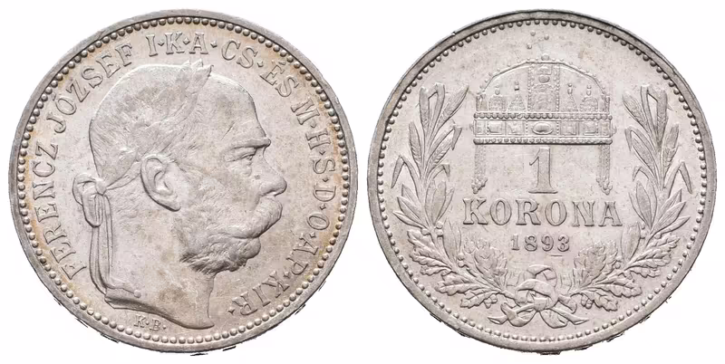 1 Koruna 1893 KB