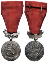 Medaile Za zásluhy o obranu vlasti, I. vydání