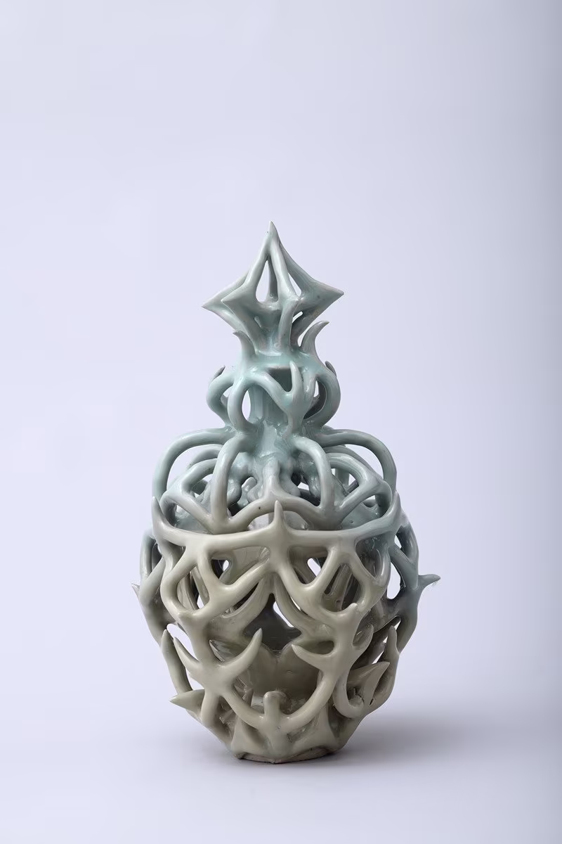 Johana Hnízdilová - Celadon Protector