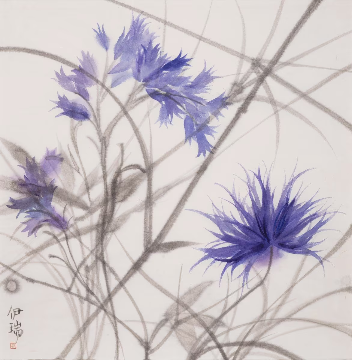 Cornflowers