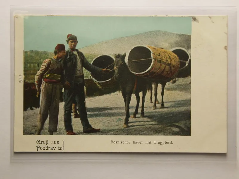 Státy bývalé Jugoslávie, Bosna a Hercegovina — 1