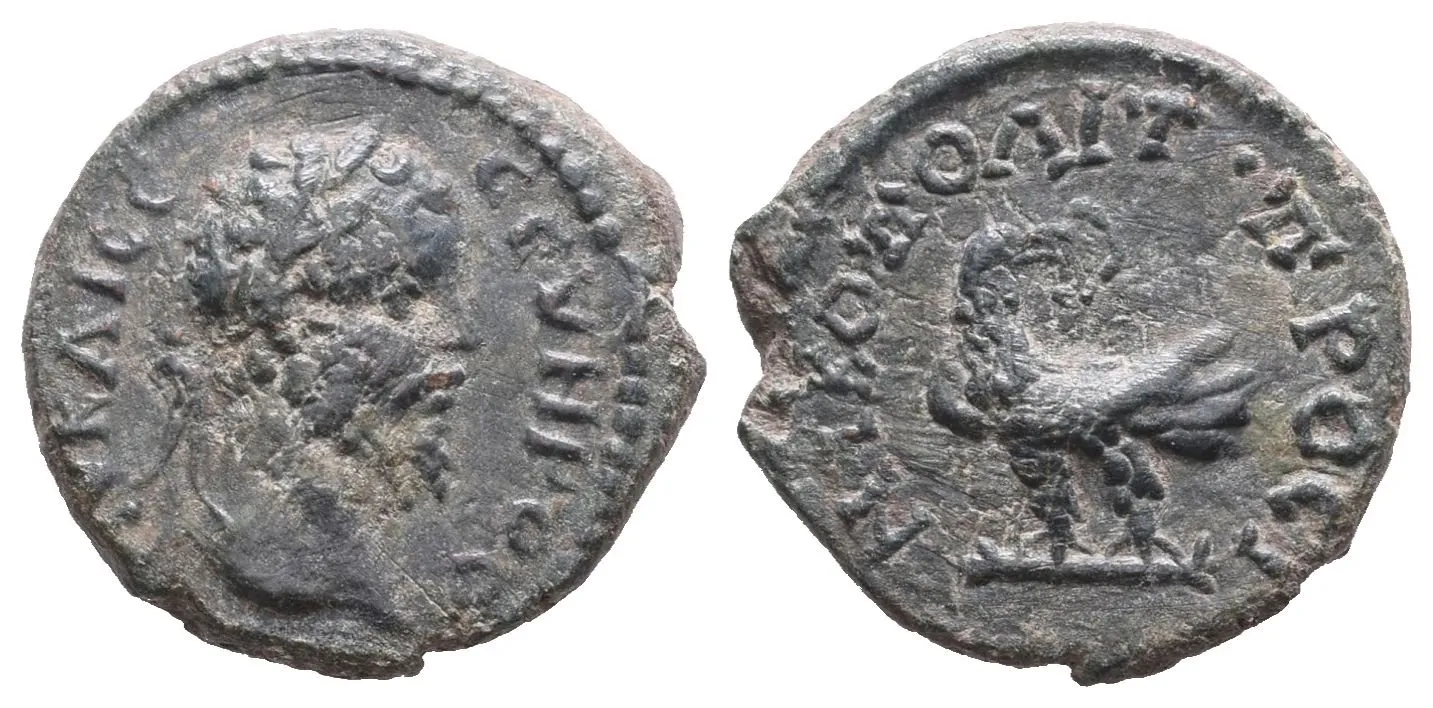 Septimius Severus, provinciální AE, Nikopolis ad Istrum