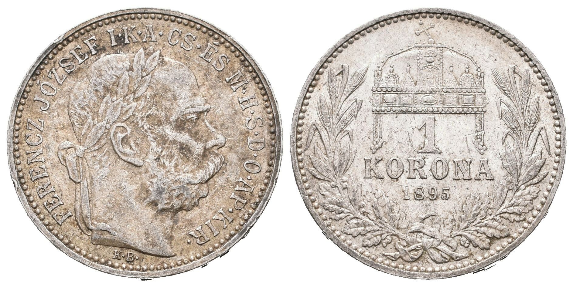 1 Koruna 1895 KB