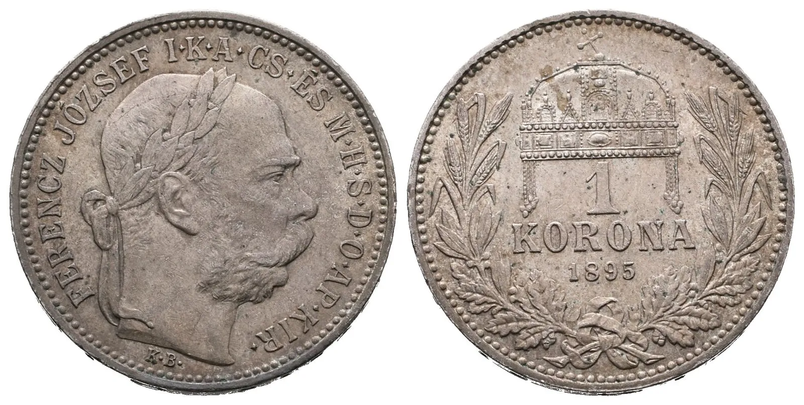 1 Koruna 1895 KB