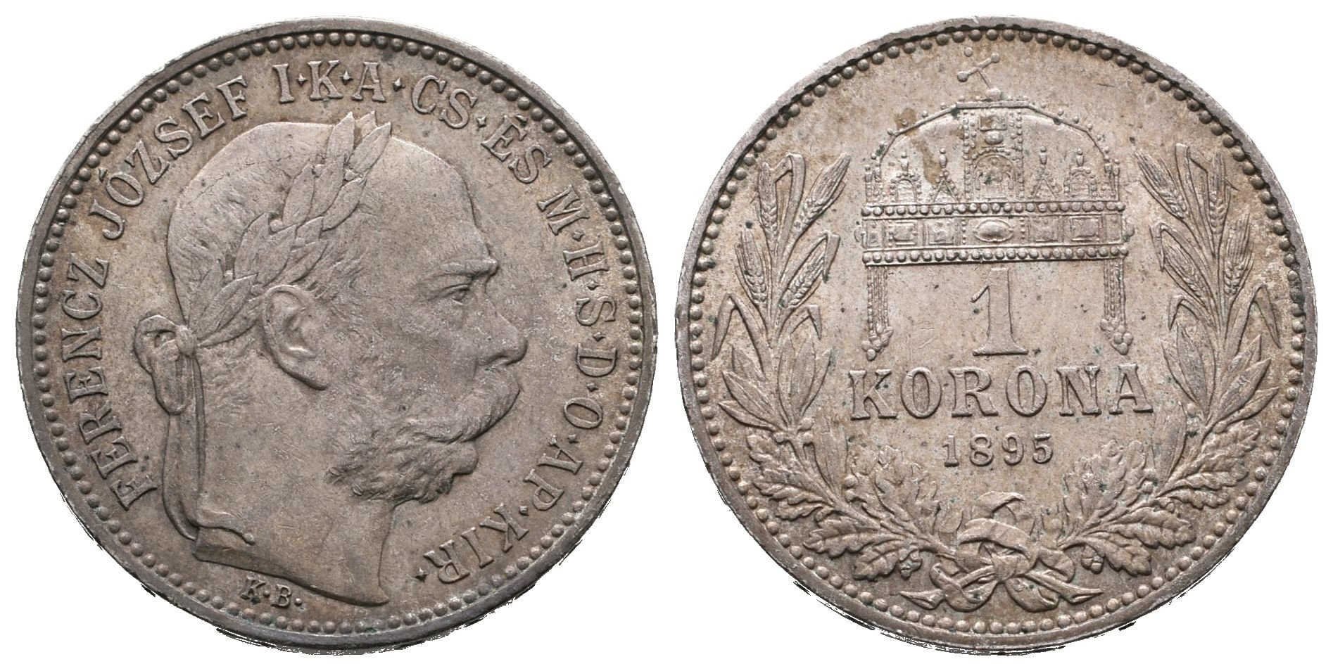 1 Koruna 1895 KB