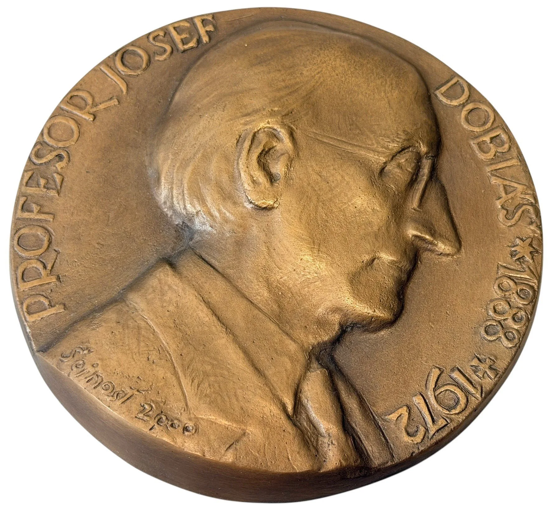 AE Plaketa 2000 - Profesor Josef Dobiáš. Litý bronz 154 mm — 1