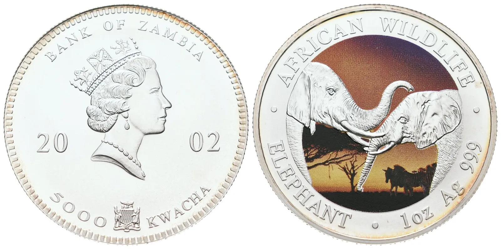Zambie, 5000 Kwacha 2002 - 1 Oz (Slon)