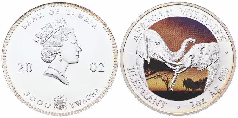 Zambie, 5000 Kwacha 2002 - 1 Oz (Slon)