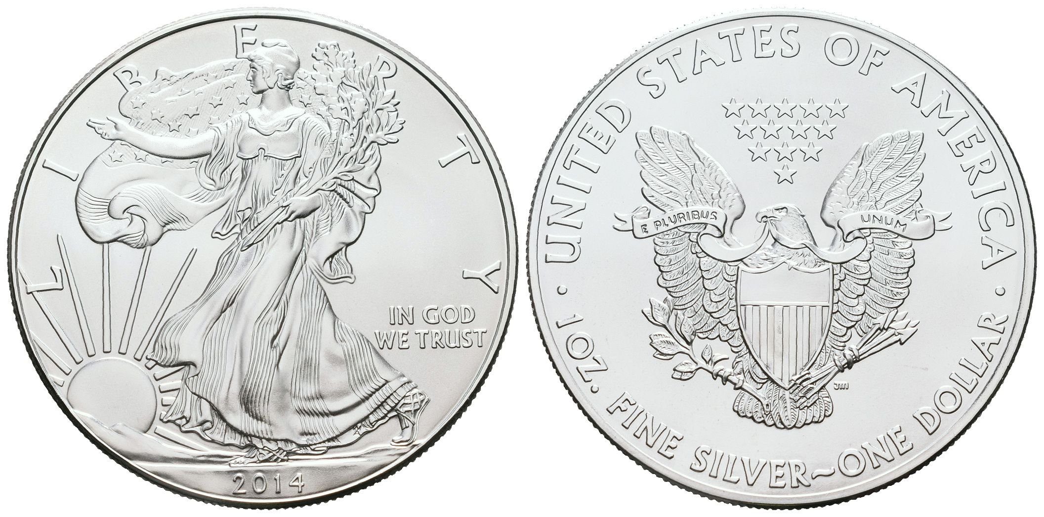 USA, American Eagle 2014