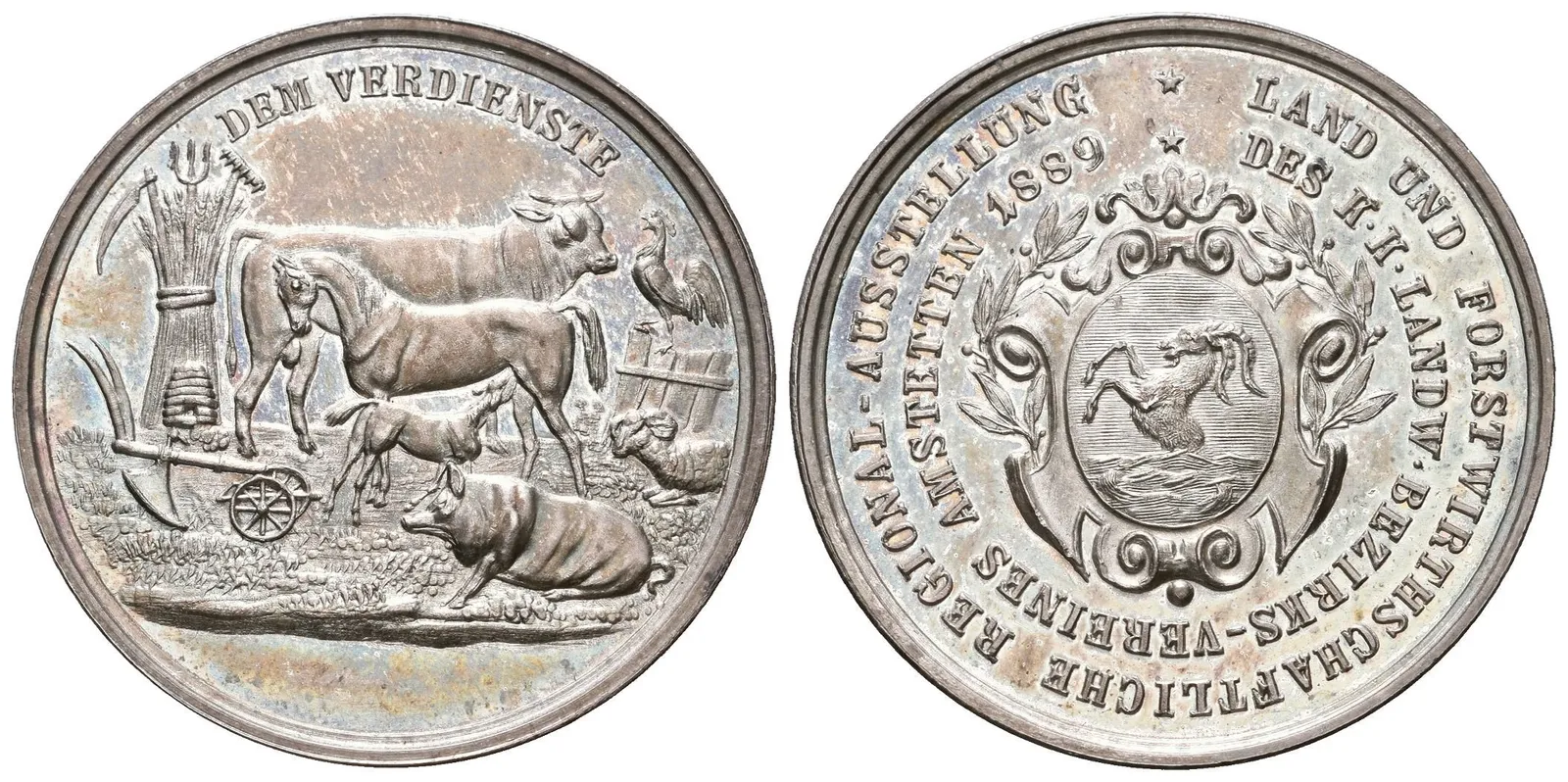 AR Medaile 1899 - Zemědělská a lesnická regionální výstava — 1
