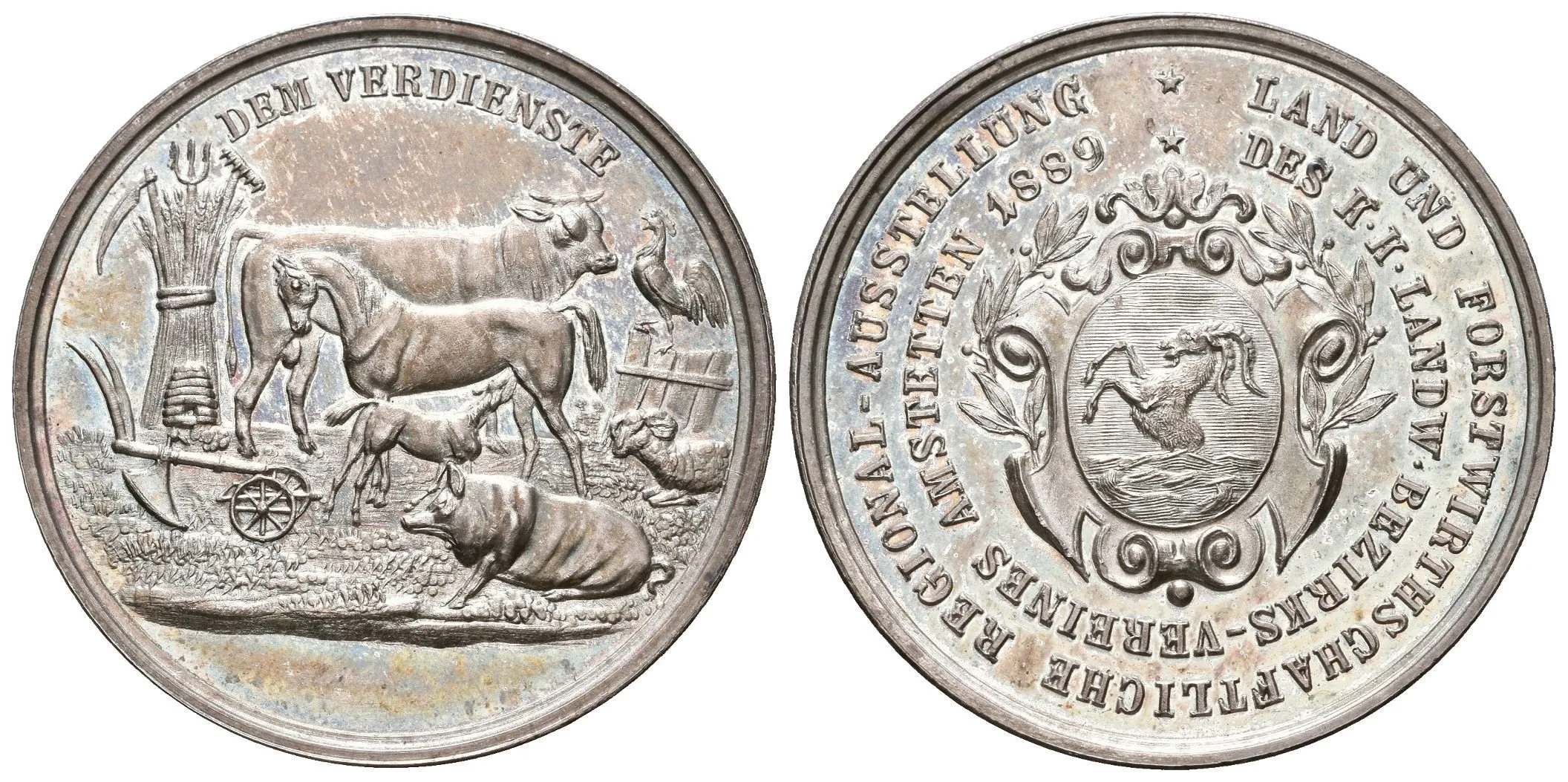 AR Medaile 1899 - Zemědělská a lesnická regionální výstava — 1