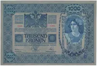 Rakousko - Uhersko, 1000 Koruna 1902, podtisk šedozelený, bez přetisku, Hej.RU5a