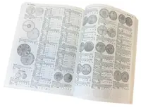 Standard Catalog of World Coins 2009 - fotografie 2