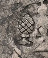 Václav IV., Pražský groš s kontramarkou Augsburgu - fotografie 2