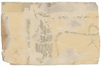 Nouzovky české 19. století — 2