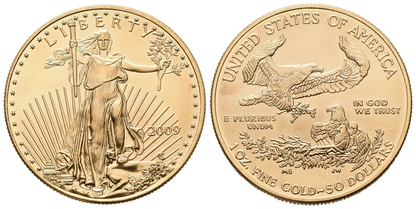 USA, 50 Dollars 2009 - American Gold Eagle