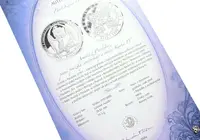 Stříbrná investiční medaile - Arnošt z Pardubic - Ag 24,5 g - 999/1000 + Certifikát - fotografie 2