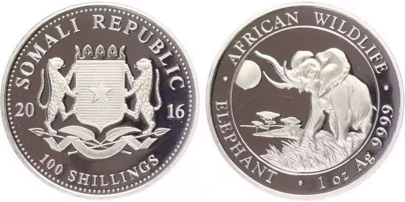 Somálsko, 100 Schillings 2016 - Slon africký