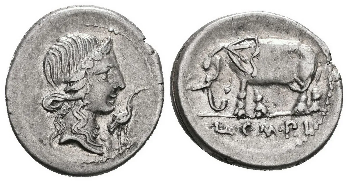 Q. Caecilius Metellus Pius, 81 př. Kr. — 1