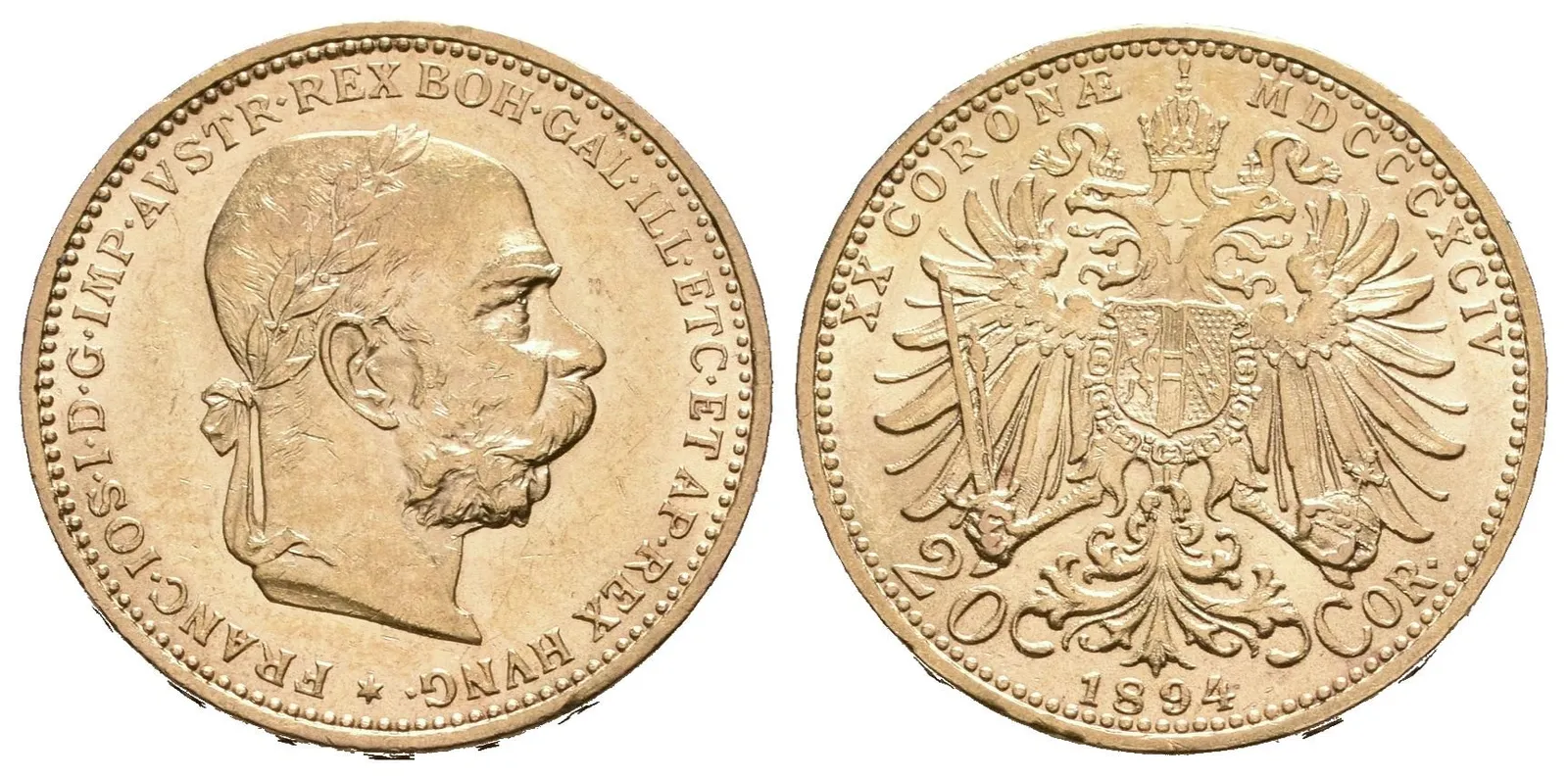 20 Koruna 1894
