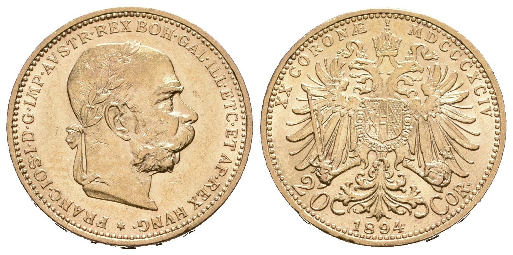 20 Koruna 1894