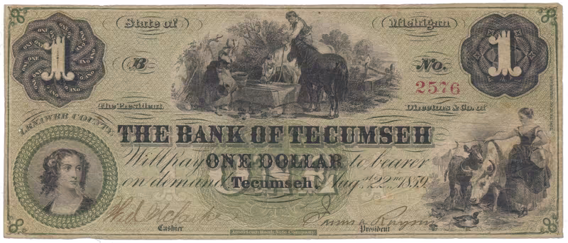 USA - Michigan, 1 Dollar 1859