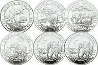 Somálsko, 100 Schillings 2009 - 2013 Slon africký