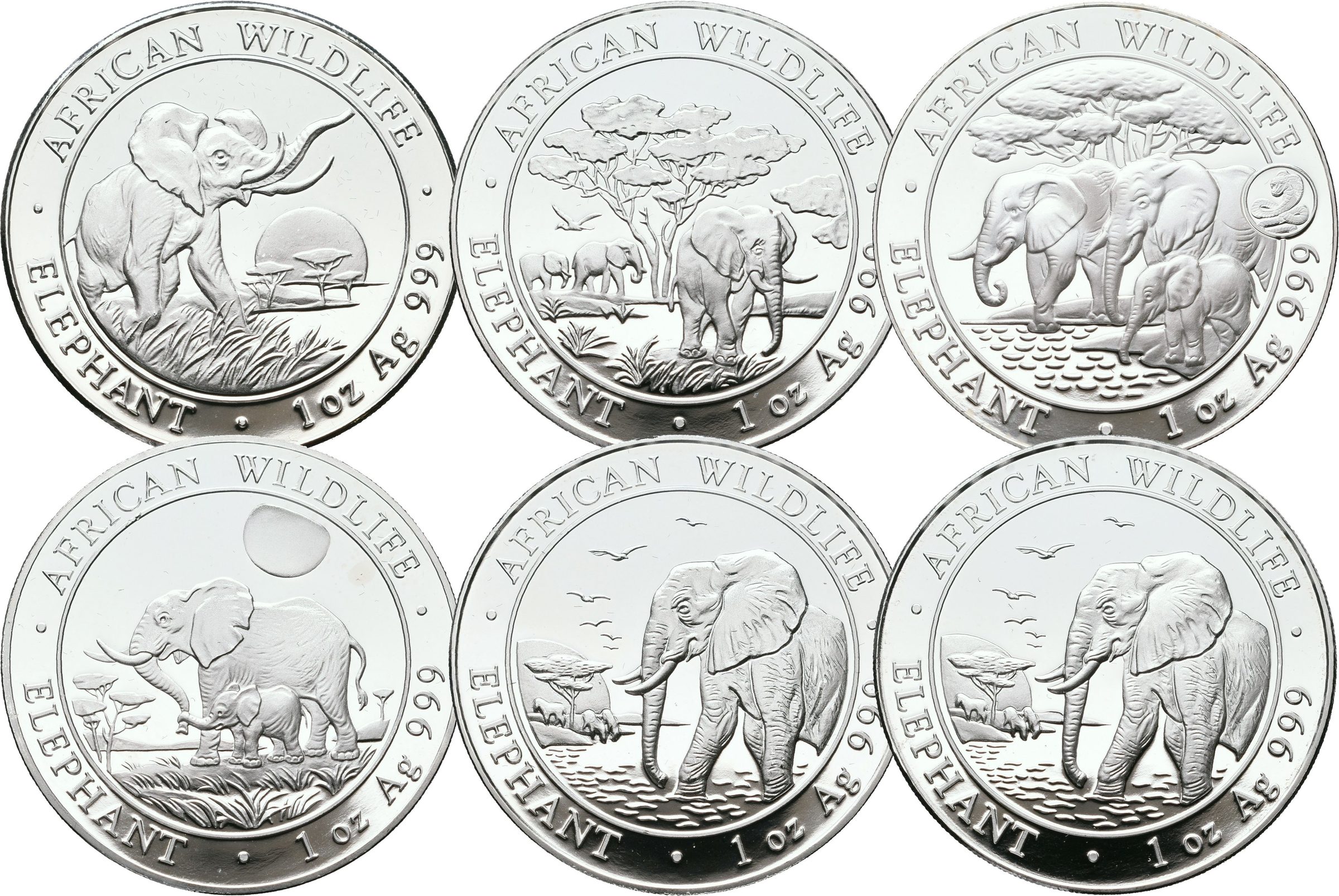 Somálsko, 100 Schillings 2009 - 2013 Slon africký