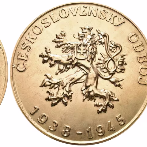 AE Medaile 1945 - Svaz národní revoluce, Československý odboj, Br. 78 mm,