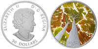 Kanada, 30 Dollars 2019 - Canadian Canopy