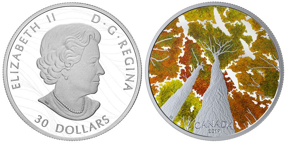 Kanada, 30 Dollars 2019 - Canadian Canopy