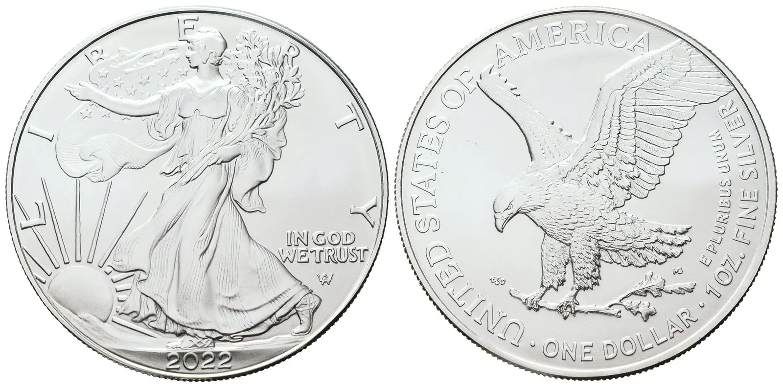 USA, American Eagle 2022