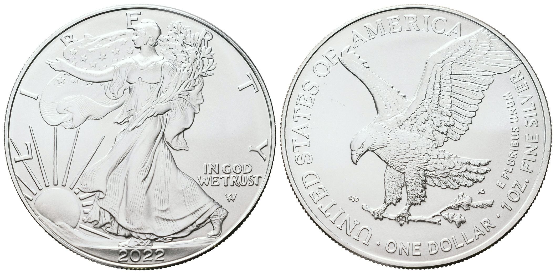 USA, American Eagle 2022