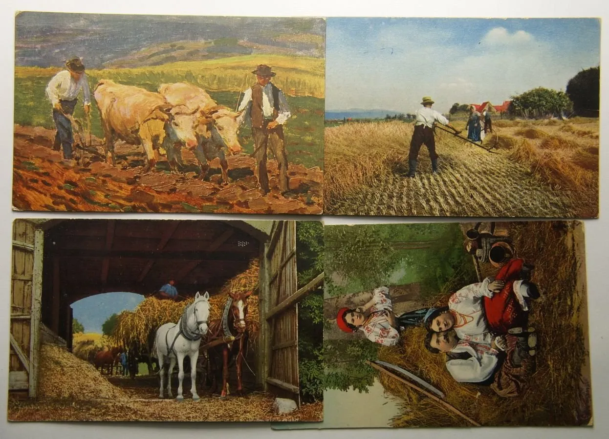 Žánr, motiv - sbírky, loty, partie — 1
