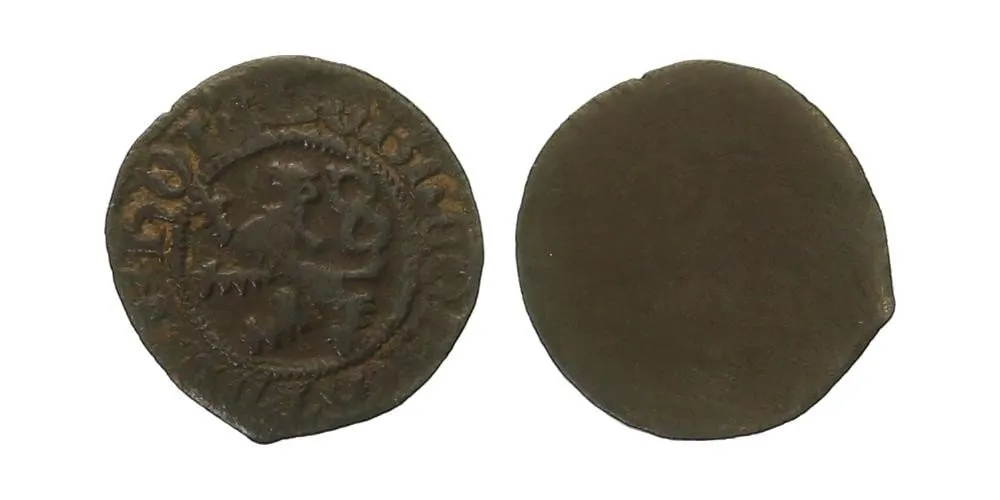 Diepholz, Conrad VIII., 1493 - 1514 — 1