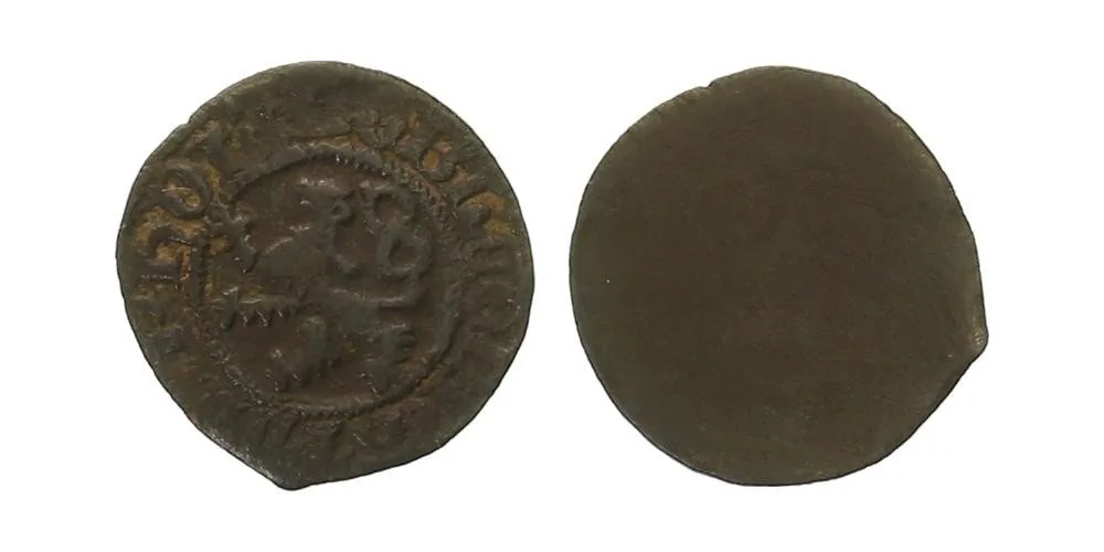Diepholz, Conrad VIII., 1493 - 1514 — 1