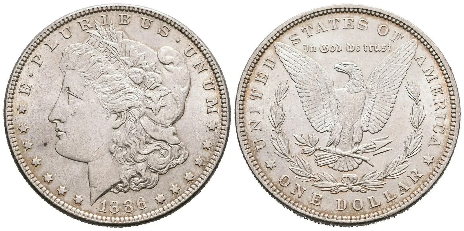 USA, 1 Dollar 1886