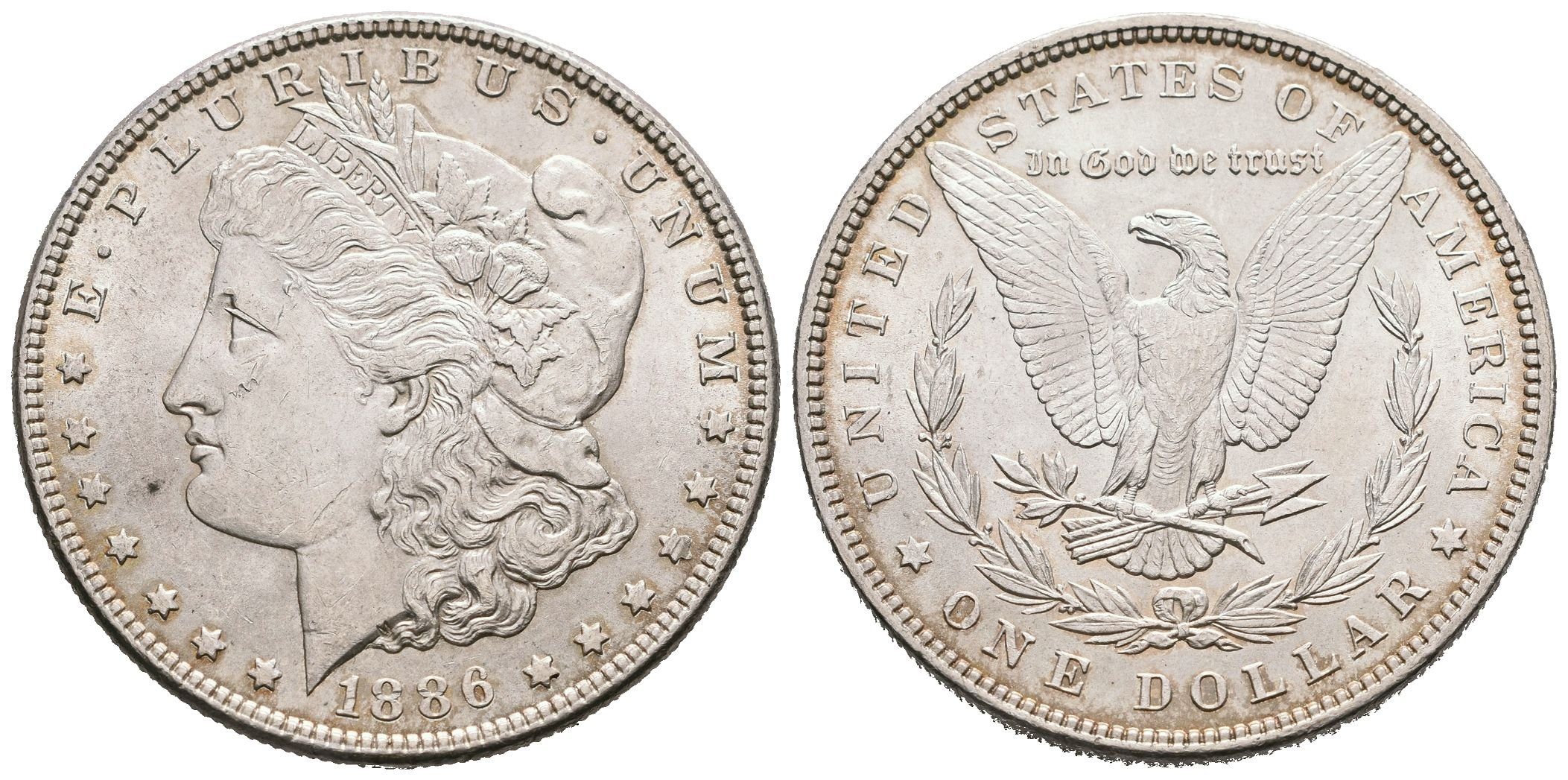 USA, 1 Dollar 1886